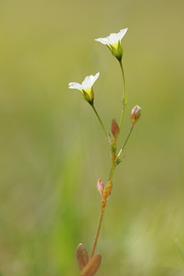 BUITEN BEELD Foto: 138061