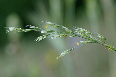 BUITEN BEELD Foto: 138064