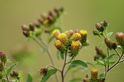 BUITEN BEELD Foto: 138071