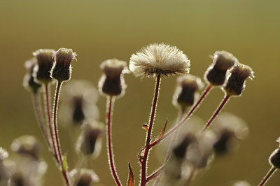 BUITEN BEELD Foto: 138092