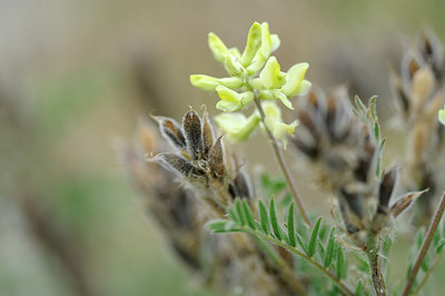 BUITEN BEELD Foto: 138100