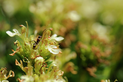 BUITEN BEELD Foto: 138107