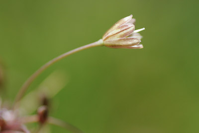 BUITEN BEELD Foto: 138139