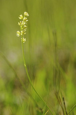 BUITEN BEELD Foto: 138146