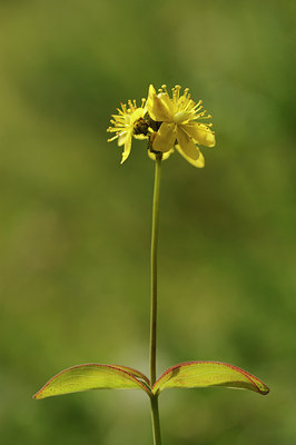 BUITEN BEELD Foto: 138151