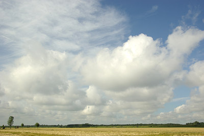 BUITEN BEELD Foto: 138157