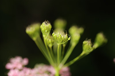 BUITEN BEELD Foto: 138158