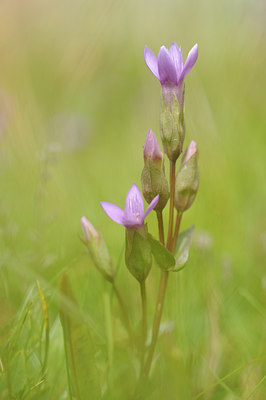 BUITEN BEELD Foto: 138172