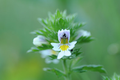 BUITEN BEELD Foto: 138179