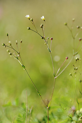 BUITEN BEELD Foto: 138181