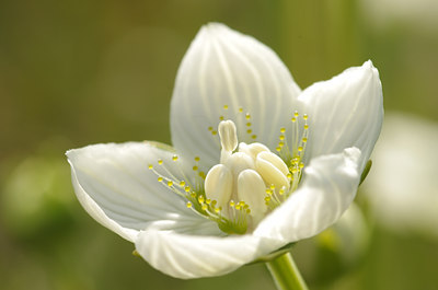 BUITEN BEELD Foto: 138190