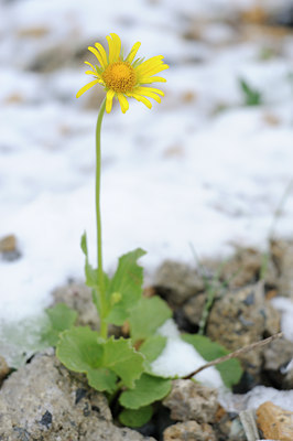 BUITEN BEELD Foto: 138203