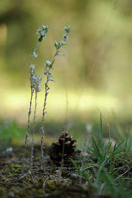 BUITEN BEELD Foto: 138217