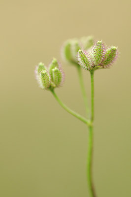 BUITEN BEELD Foto: 138226