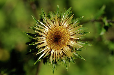 BUITEN BEELD Foto: 138241