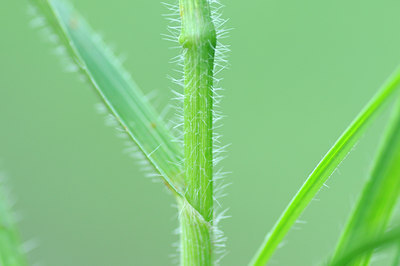 BUITEN BEELD Foto: 138250