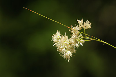 BUITEN BEELD Foto: 138260