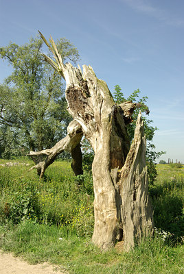 BUITEN BEELD Foto: 138288