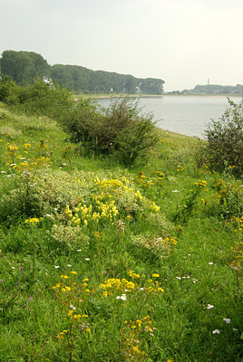 BUITEN BEELD Foto: 138291