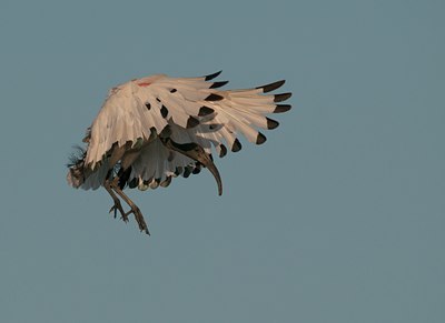 BUITEN BEELD Foto: 138335