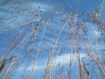 BUITEN BEELD Foto: 138354