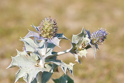 BUITEN BEELD Foto: 138355