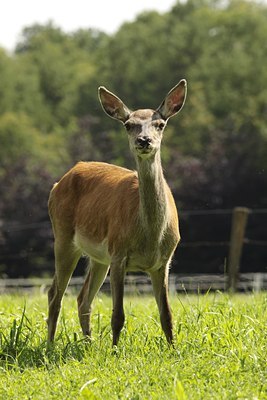 BUITEN BEELD Foto: 138389