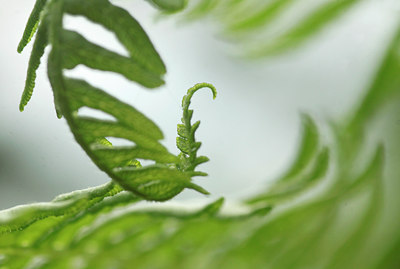 BUITEN BEELD Foto: 138429