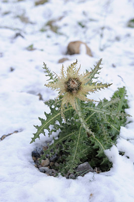 BUITEN BEELD Foto: 138448