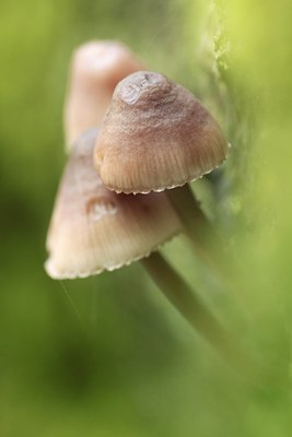 BUITEN BEELD Foto: 138449