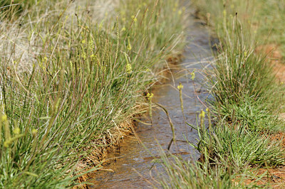 BUITEN BEELD Foto: 138455