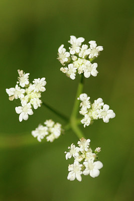 BUITEN BEELD Foto: 138456
