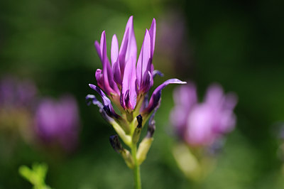 BUITEN BEELD Foto: 138457