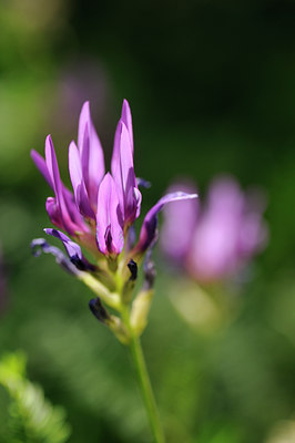 BUITEN BEELD Foto: 138458