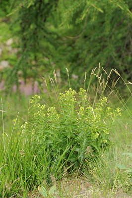 BUITEN BEELD Foto: 138462