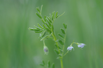 BUITEN BEELD Foto: 138469