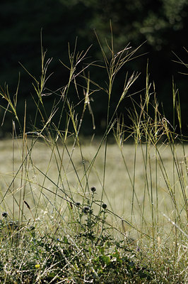 BUITEN BEELD Foto: 138491