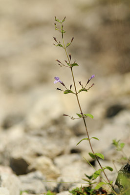 BUITEN BEELD Foto: 138511