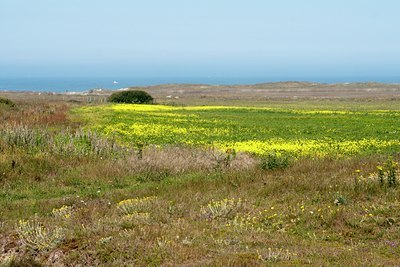 BUITEN BEELD Foto: 138543