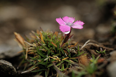 BUITEN BEELD Foto: 138550