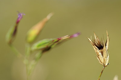 BUITEN BEELD Foto: 138555