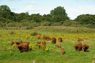 BUITEN BEELD Foto: 138557