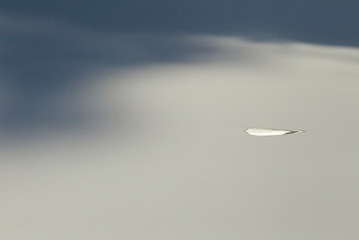 BUITEN BEELD Foto: 138570