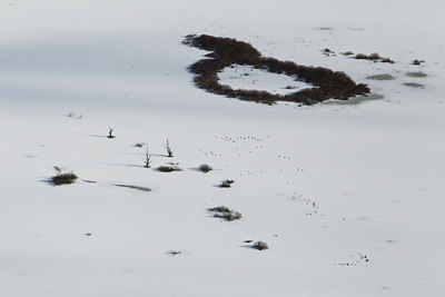 BUITEN BEELD Foto: 138573