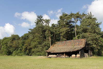 BUITEN BEELD Foto: 138663