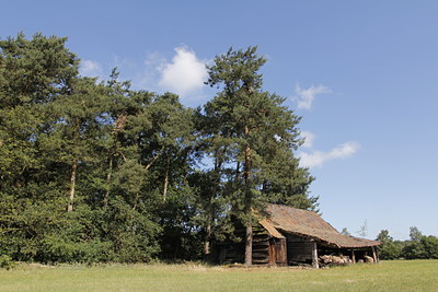 BUITEN BEELD Foto: 138665