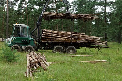 BUITEN BEELD Foto: 138812