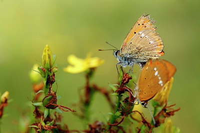 BUITEN BEELD Foto: 138814