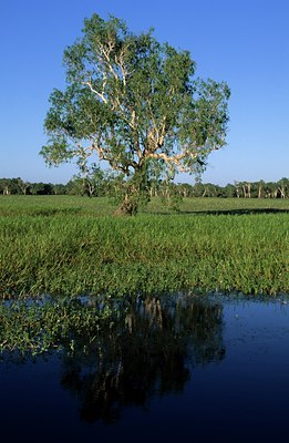 BUITEN BEELD Foto: 138820