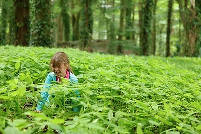 BUITEN BEELD Foto: 138849